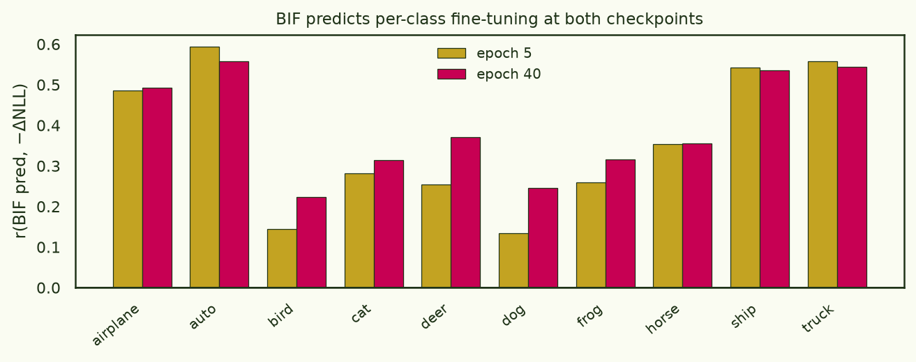Per-class correlation between BIF prediction and fine-tuning effect at epochs 5 and 40, positive for essentially all ten CIFAR classes at both.