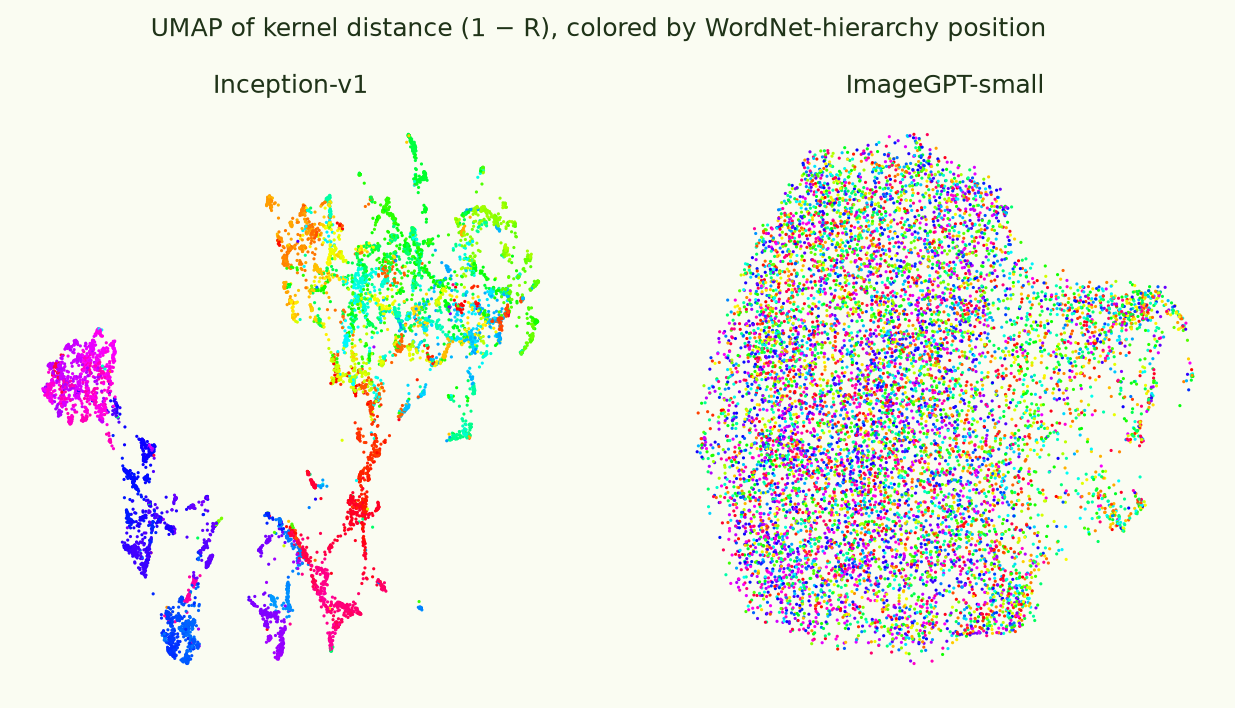 UMAP embeddings of both kernels, colored by WordNet hierarchy position