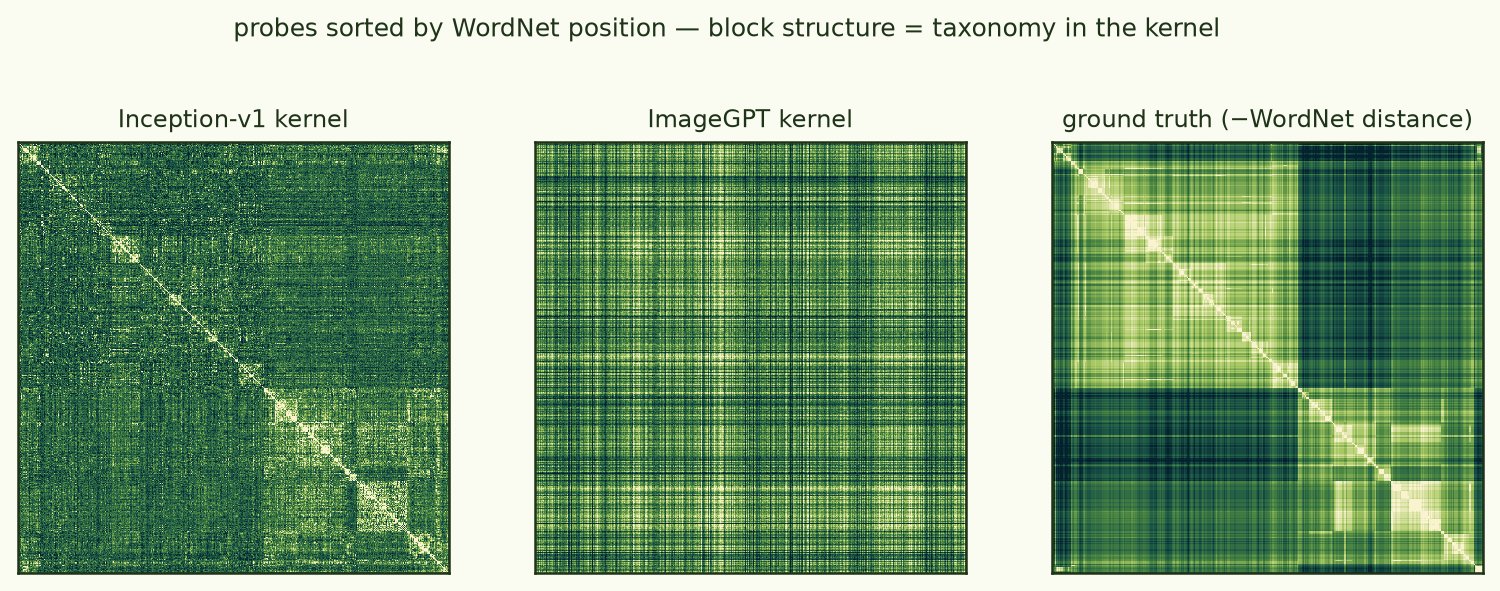 WordNet-sorted kernel matrices vs ground truth