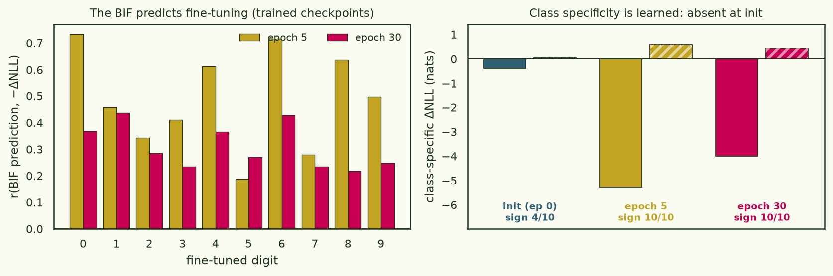 Left: per-class correlation between BIF prediction and fine-tuning effect at epochs 5 and 30, positive for all digits. Right: common-mode-removed class-specific fine-tuning effect at init, epoch 5 and epoch 30 — near zero at init (sign 4/10), strongly negative for the same class after training (sign 10/10).