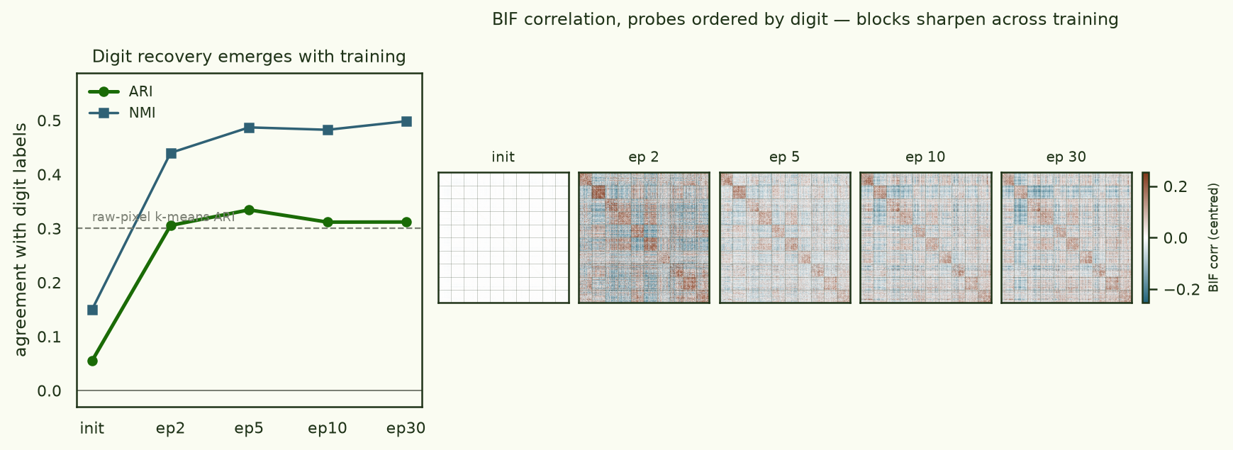 Left: adjusted Rand index and NMI of BIF clustering versus training epoch — near zero at init, rising to a plateau by epoch 2. Right: five BIF correlation matrices ordered by digit, featureless at init and showing diagonal digit blocks from epoch 2 onward.