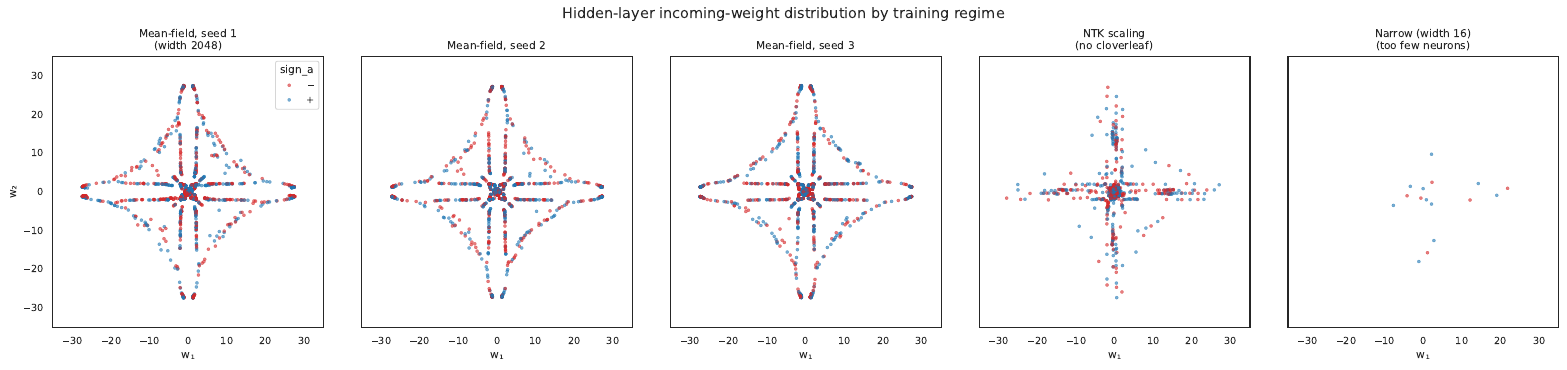 Cloverleaf comparison across 3 mean-field seeds, NTK, and narrow.